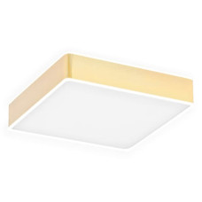 LED Griestu lampa Atlantis 4051 21W/ 230V balta/misiņa