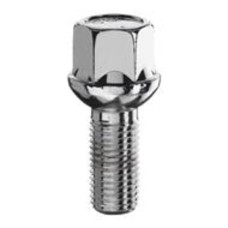 Skrūve M14x1,5x30 17mm Hex R13 (sfēra) D30