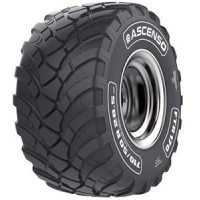 560/60R22 Ascenso FTR170 164D
